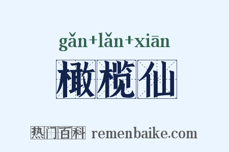 橄榄仙是什么意思的图片